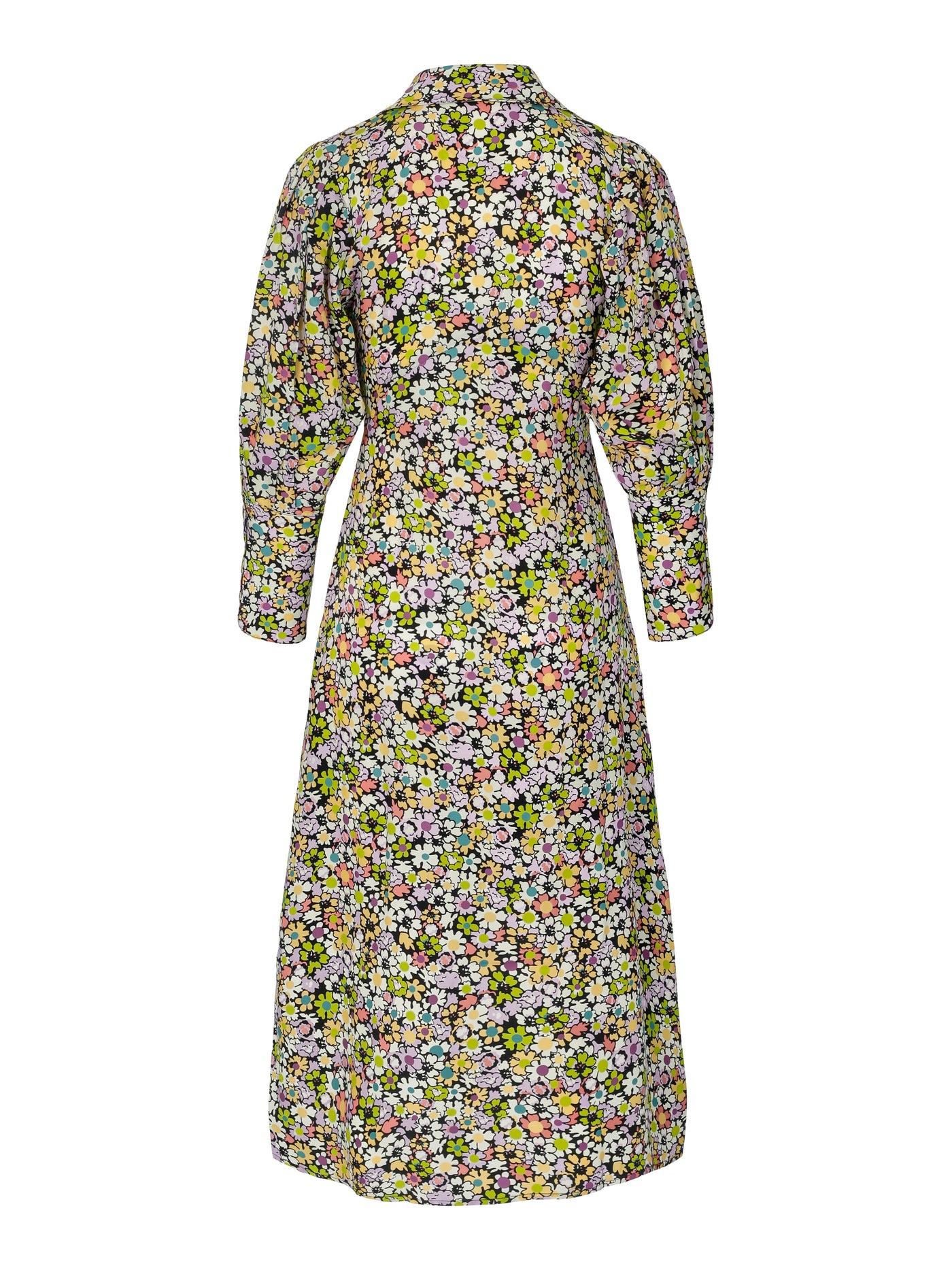 Dress Blossom Lorikeets Print